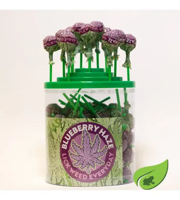 SUCETTE BLUEBERRY HAZE