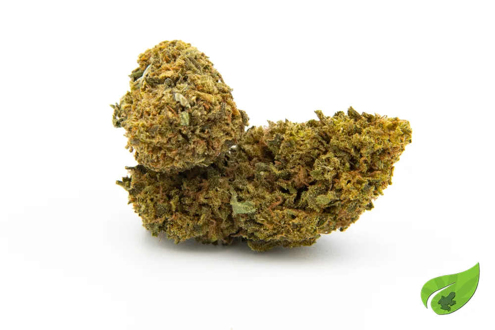 CANNATONIC GH