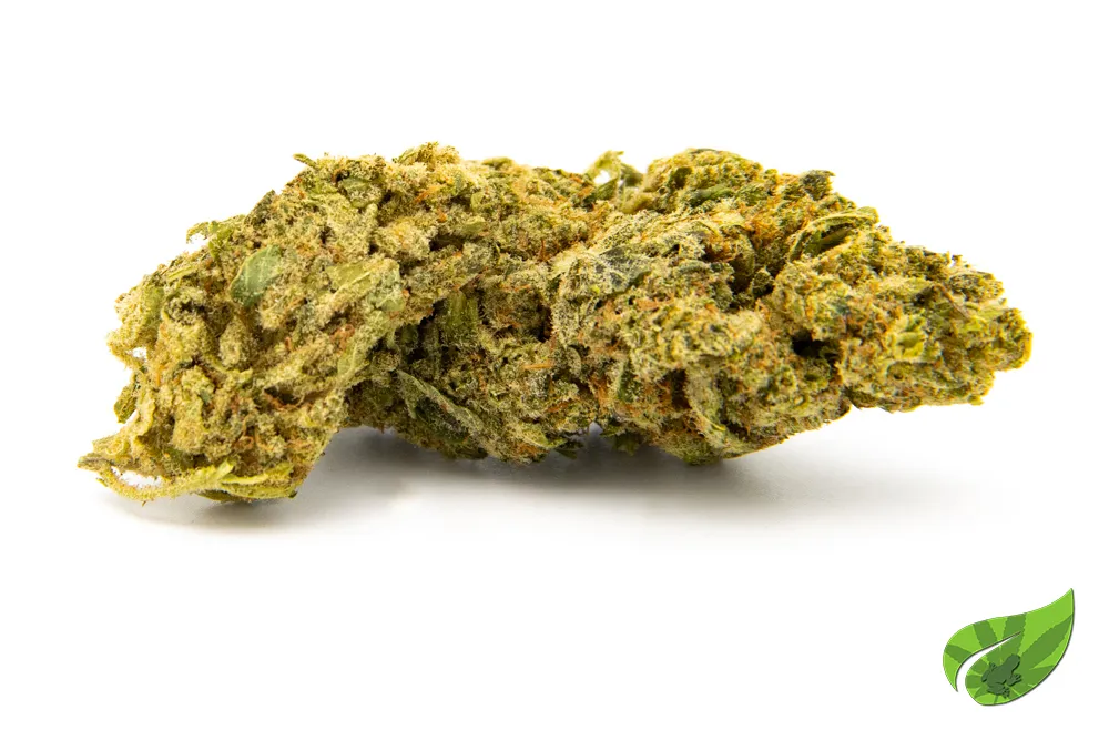 SUGAR HAZE