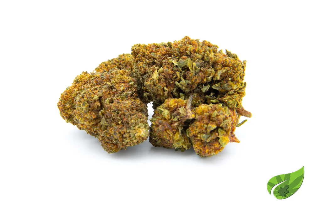 KUSHER KUSH