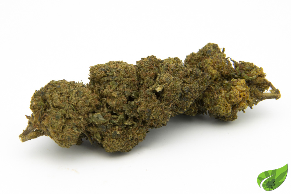 MANGO HAZE thv n10