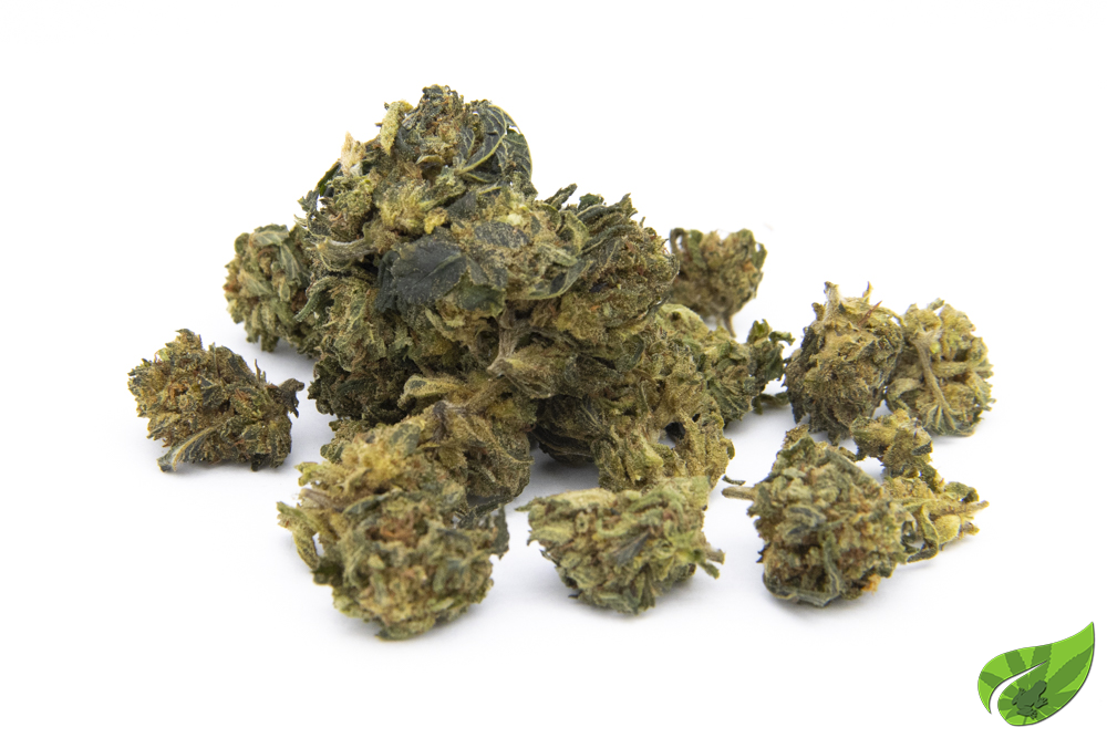 GORILLA GLUE thv n10